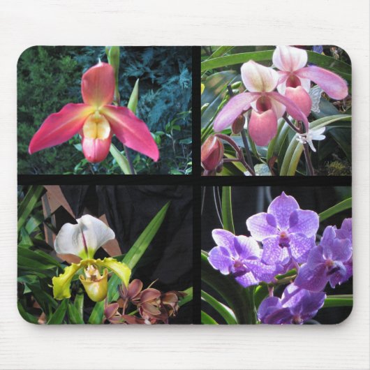 Orchideen Mousepad (Vorne)