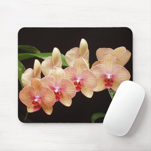 Orchideen! Mousepad (Mit Mouse)