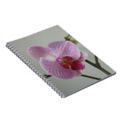 Orchideen-Notizbuch Notizblock (Rechte Seite)