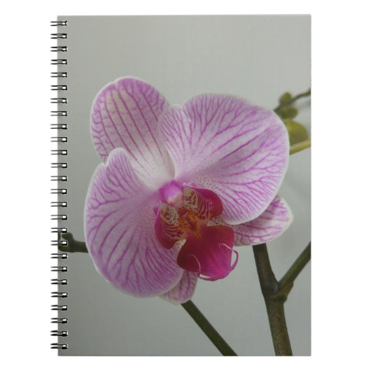 Orchideen-Notizbuch Notizblock (Vorderseite)