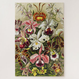 Orchideen, Orchideae Denusblumen Ernst Haeckel Puzzle