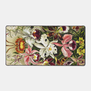 Orchideen, Orchideae Denusblumen Ernst Haeckel Schreibtischunterlage