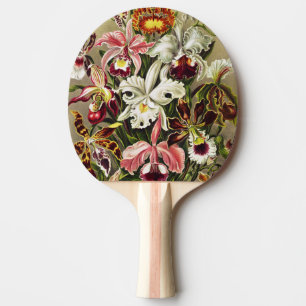 Orchideen, Orchideae Denusblumen Ernst Haeckel Tischtennis Schläger