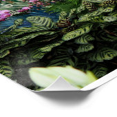 Orchideen-Pfau Poster (Ecke)