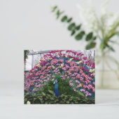 Orchideen-Pfau Postkarte (Stehend Vorderseite)