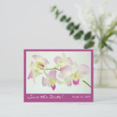 Orchideen Postcard, Save the Date! Ankündigungspostkarte (Stehend Vorderseite)