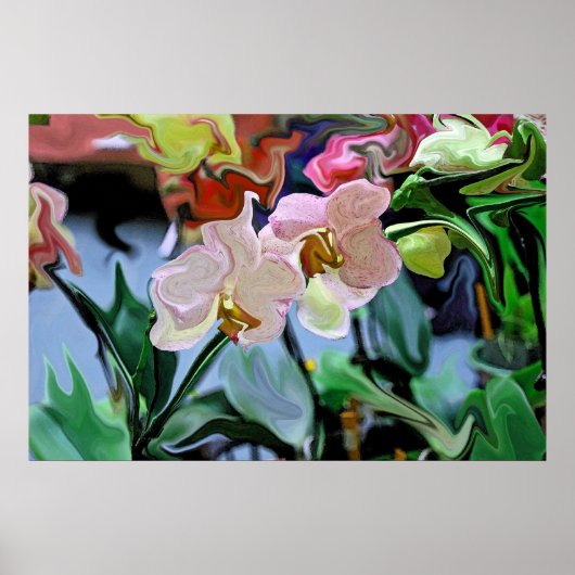 Orchideen Poster (Vorne)