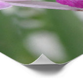 Orchideen Poster (Ecke)