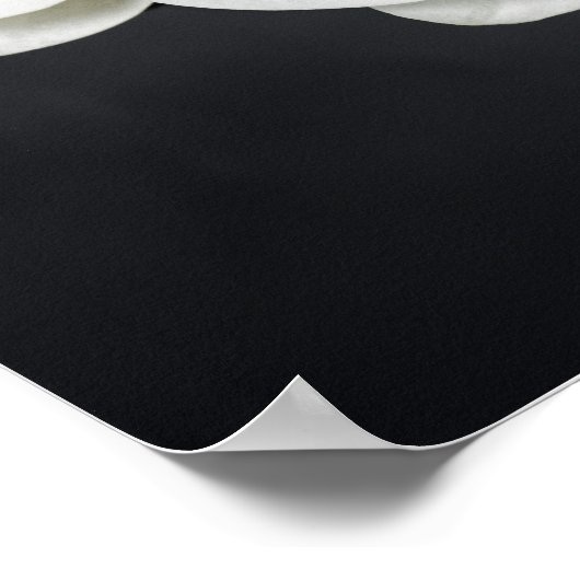 Orchideen Poster (Ecke)