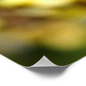 Orchideen Poster (Ecke)