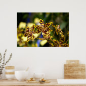Orchideen Poster (Küche)
