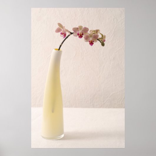 Orchideen Poster (Vorne)