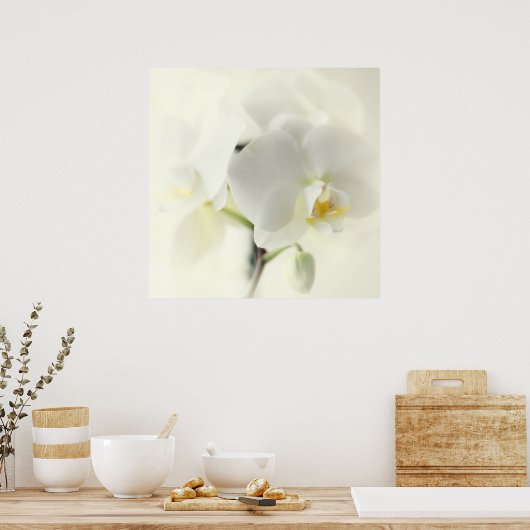 Orchideen Poster (Küche)