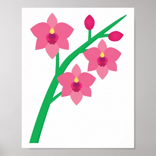 Orchideen Poster (Vorne)