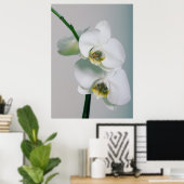 Orchideen Poster (Heimbüro)