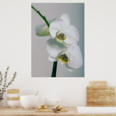Orchideen Poster (Küche)