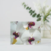 Orchideen Postkarte (Stehend Vorderseite)