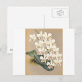 Orchideen Postkarte (Vorne/Hinten)