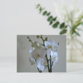 Orchideen Postkarte (Stehend Vorderseite)