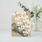 Orchideen Postkarte (Stehend Vorderseite)