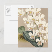 Orchideen Postkarte (Vorne/Hinten)