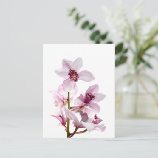 Orchideen Postkarte (Stehend Vorderseite)