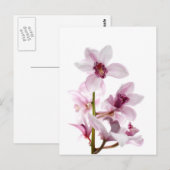 Orchideen Postkarte (Vorne/Hinten)