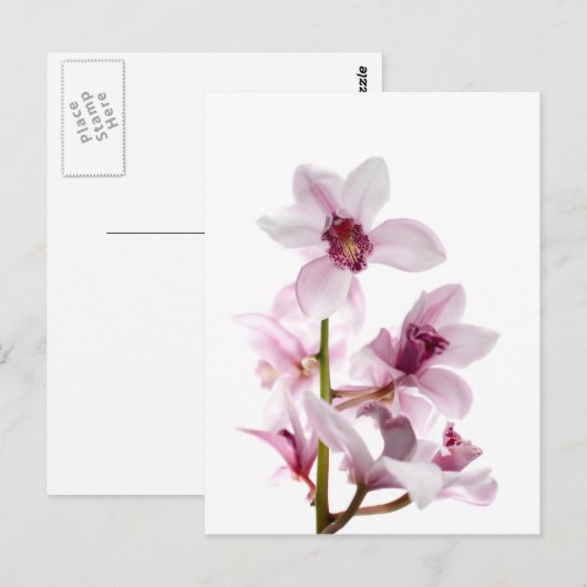 Orchideen Postkarte (Vorne/Hinten)