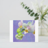 Orchideen Postkarte (Stehend Vorderseite)