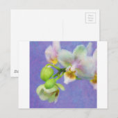 Orchideen Postkarte (Vorne/Hinten)