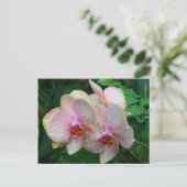 Orchideen Postkarte (Stehend Vorderseite)