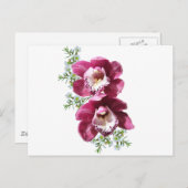 Orchideen Postkarte (Vorne/Hinten)