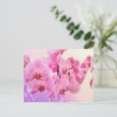 Orchideen. Postkarte (Stehend Vorderseite)