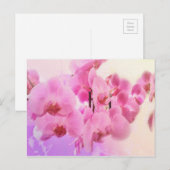 Orchideen. Postkarte (Vorne/Hinten)