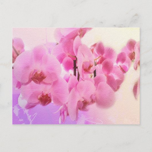 Orchideen. Postkarte (Vorderseite)