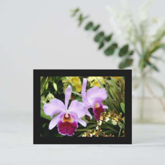 Orchideen Postkarte (Stehend Vorderseite)