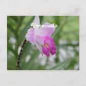 Orchideen Postkarte (Vorderseite)