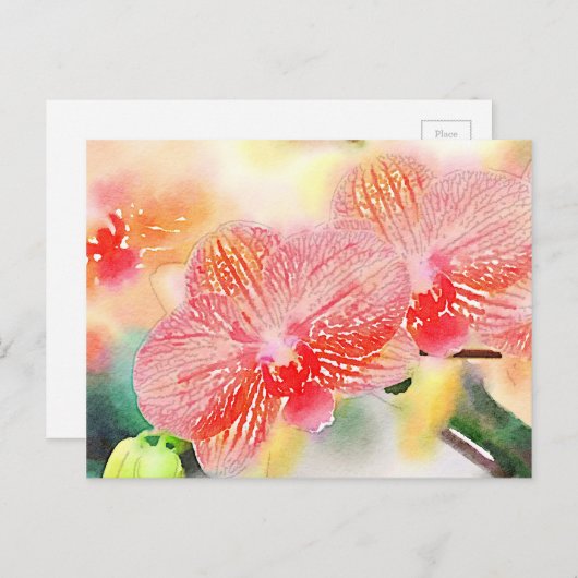 Orchideen Postkarte (Vorne/Hinten)