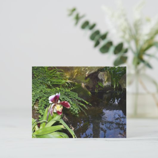 Orchideen Postkarte (Stehend Vorderseite)