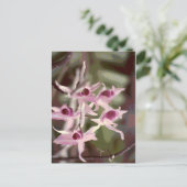 Orchideen Postkarte (Stehend Vorderseite)