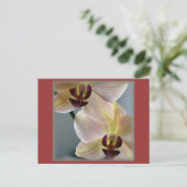 Orchideen Postkarte (Stehend Vorderseite)