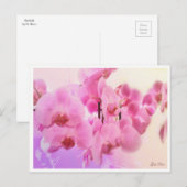 Orchideen Postkarte (Vorne/Hinten)