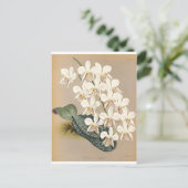 Orchideen Postkarte (Stehend Vorderseite)