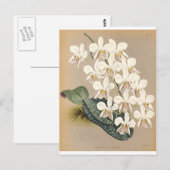 Orchideen Postkarte (Vorne/Hinten)