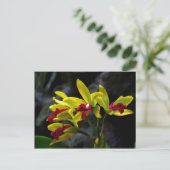 Orchideen Postkarte (Stehend Vorderseite)