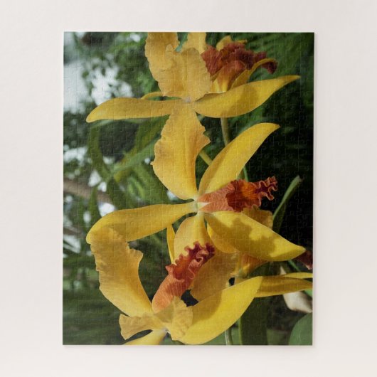 Orchideen Puzzle (Vertikal)