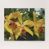Orchideen Puzzle (Horizontal)