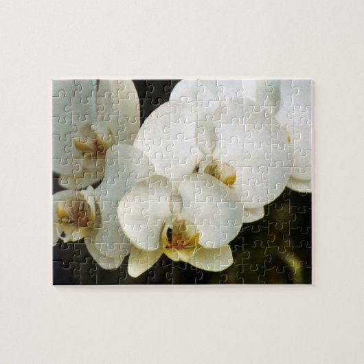 Orchideen Puzzle (Horizontal)