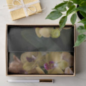 Orchideen, rosa und gelb seidenpapier (Geschenk)