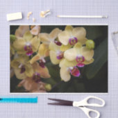 Orchideen, rosa und gelb seidenpapier (Handwerk)